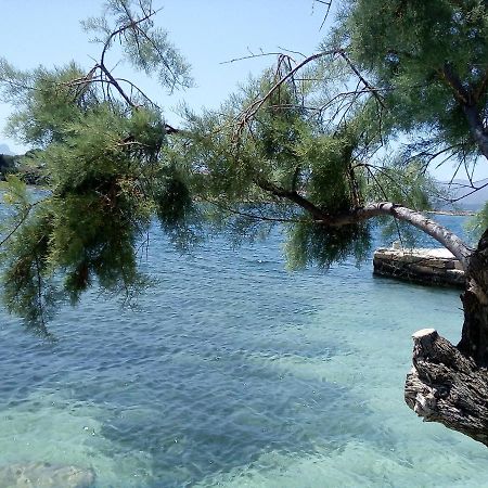 Laura Sunbeach Alcudia  Exteriör bild