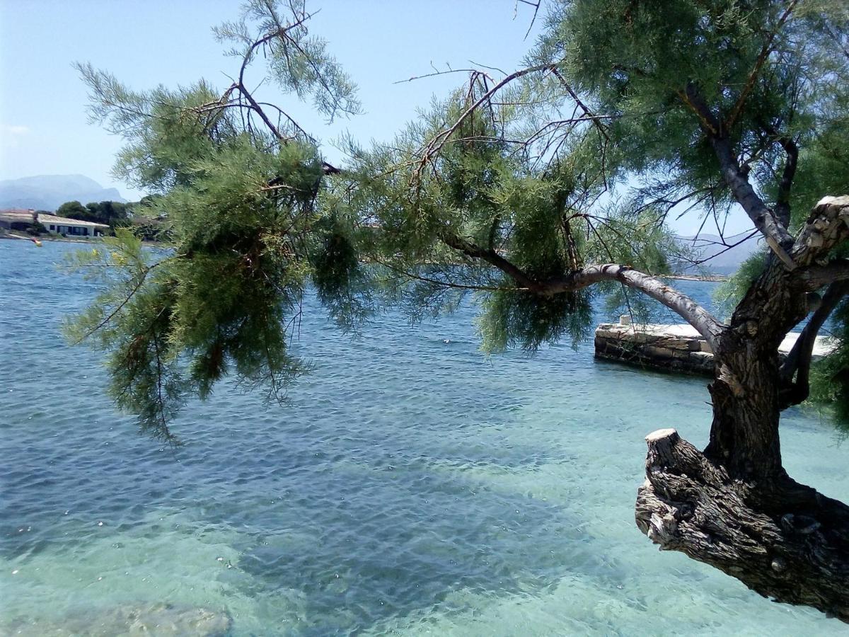 Laura Sunbeach Alcudia  Exteriör bild